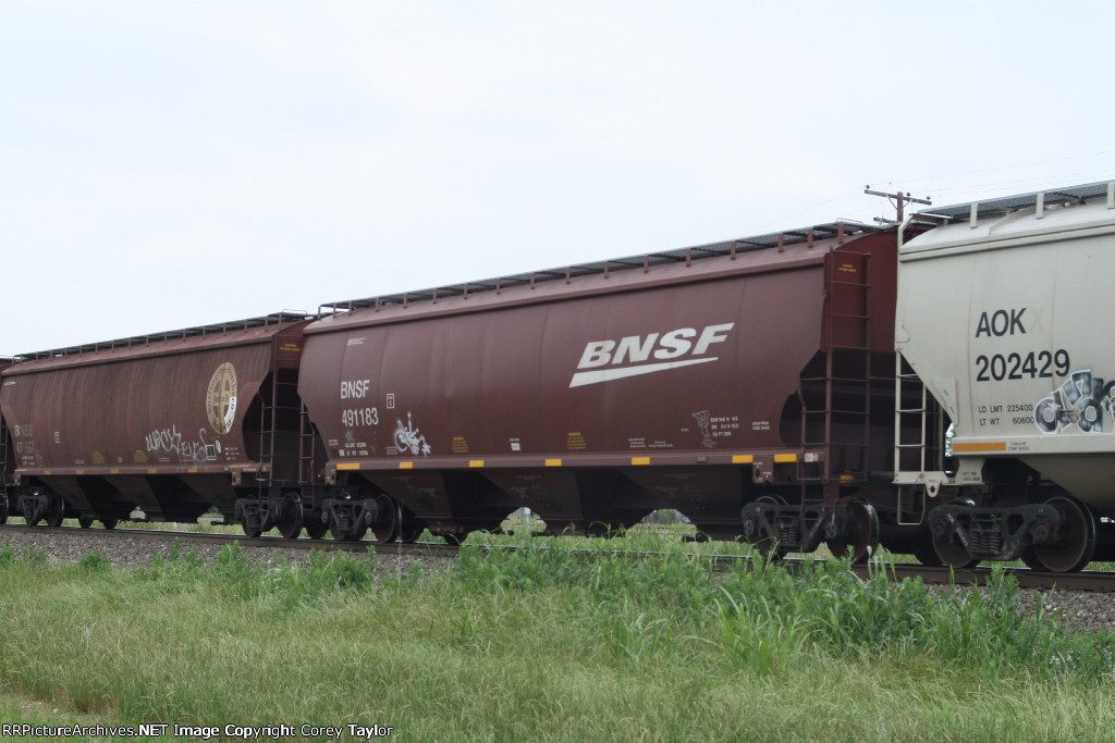 BNSF 491183